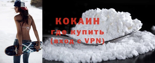 шишки Кукмор