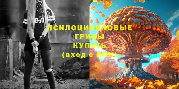 шишки Кукмор