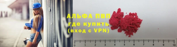 шишки Кукмор