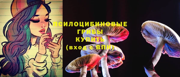 PSILOCYBIN Покачи