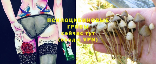 соль ск Покров
