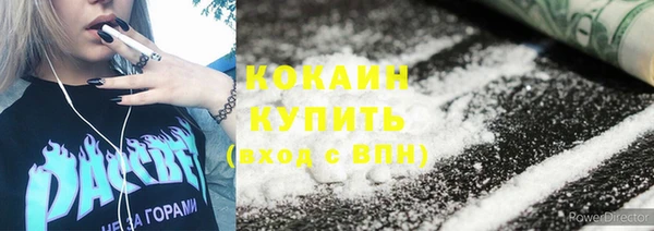 PSILOCYBIN Покачи