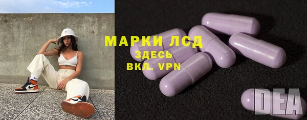 PSILOCYBIN Покачи