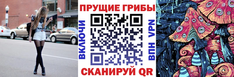 как найти закладки  Азнакаево  Галлюциногенные грибы прущие грибы 
