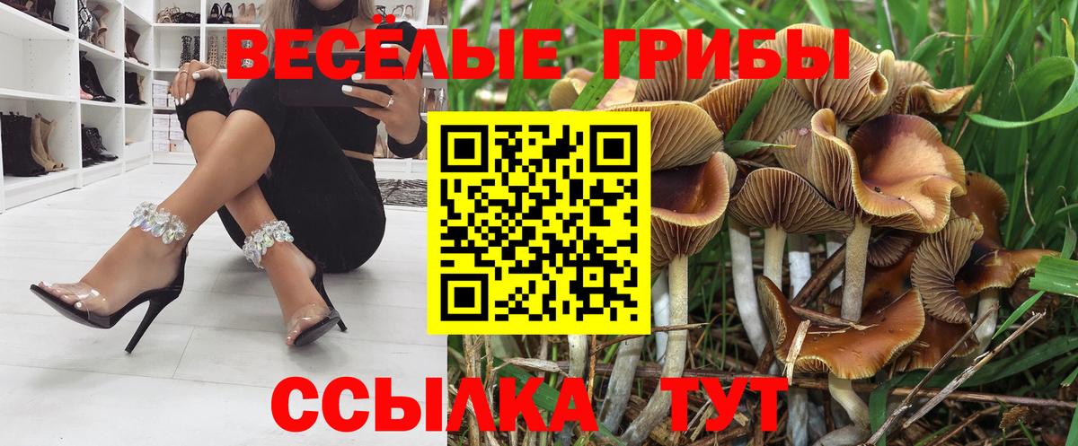 Псилоцибиновые грибы Psilocybe  Вход с VPN  Псилоцибиновые грибы мицелий  Азнакаево 